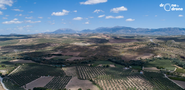 DRONE VIDEOS